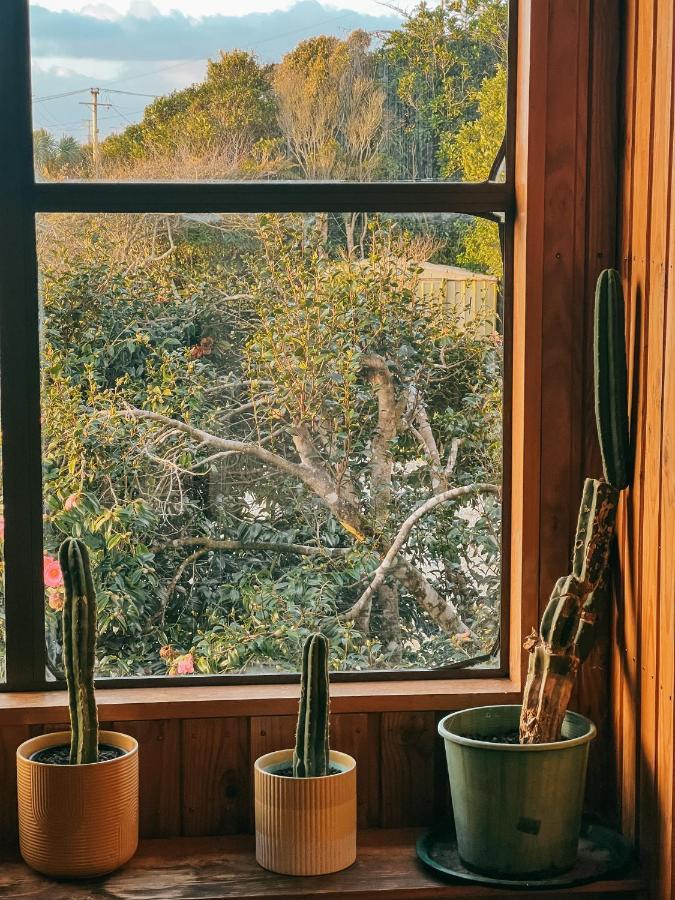 Evergreen Escape ホキティカ エクステリア 写真