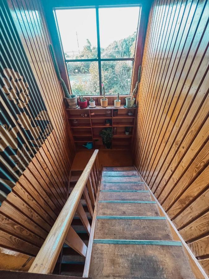 Evergreen Escape ホキティカ エクステリア 写真